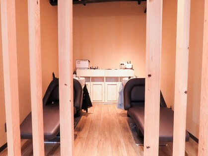 ステラ(Stella)の写真