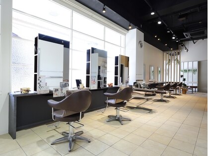 ツインエイトプラス(Twin eight plus+)の写真