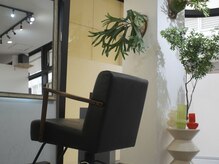 ナイロ(NiLO)の雰囲気（落ち着きのある小規模の店内、2階なので人目も気になりません）