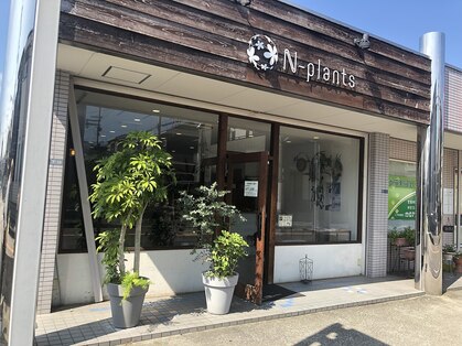 エヌプランツ 和泉中央店(N-plants)の写真