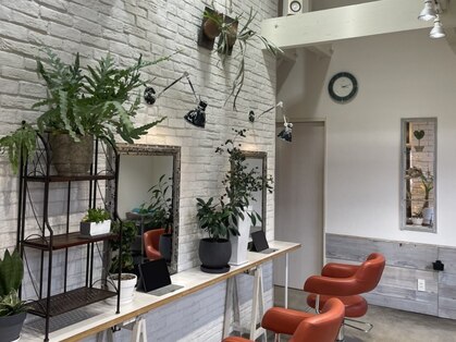 アイズ デザイナーコレクション I's Designer Collectionの写真