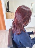 夏前 ダブルカラー レッド ワインレッド