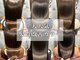 マスト ヘアー(must hair)の写真