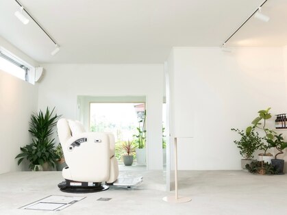 hachi【体質・髪質改善/育毛専門】の写真