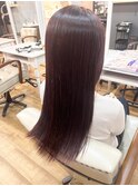ボルドーカラー　1/15