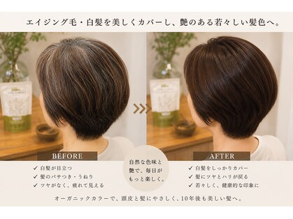 ヌックリアン(Nook Lien)の写真