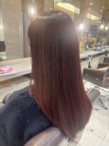 VAN COUNCIL 福井開発店(ヴァンカウンシル) ボルドーカラー