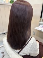 シダ(sida)&nbsp;カシスブラウン