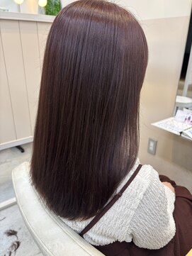 シダ(sida) カシスブラウン