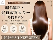 ガイア フォー ヘアー(GAiA for hair)
