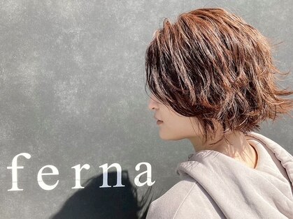 フェルナ(ferna)の写真