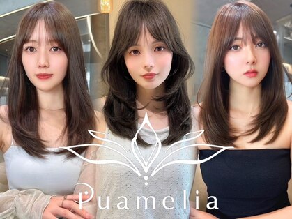 プアメリア 名古屋(Puamelia)の写真