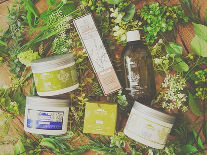 シェリーガーデンの写真