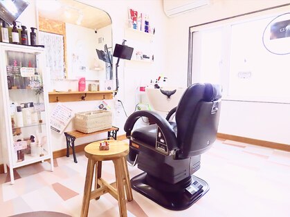 エディー(EDYH)の写真