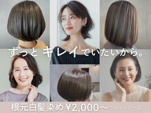 スピーディーカラー大 泉店
