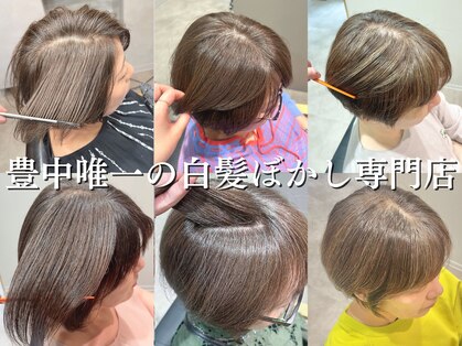 ミルシェ(MILSHE)の写真