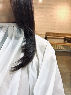 トルソー TORSO レイヤー