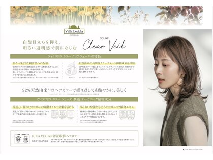 ソフト(SOFT)の写真