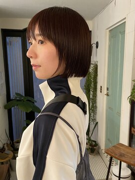 アンプラグド(unplugged) bob /unplugged