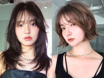 トイ(TOI)の写真