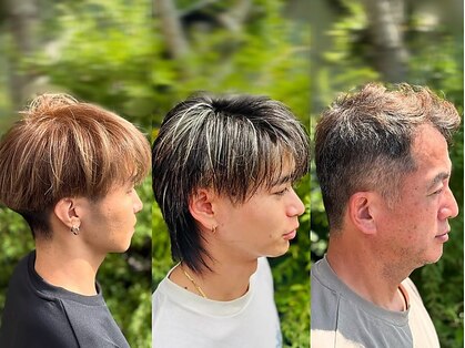 タガミ(tagami)の写真