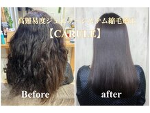 ダメージを理由に「ヘアデザイン」をガマンして欲しくない。色んなヘアデザインを楽しみつつヘアケア♪