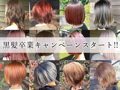 ナンバーエイト(number eight)の写真