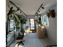 モノトーンの店内にたくさんの植物に囲まれた落ち着いた空間♪