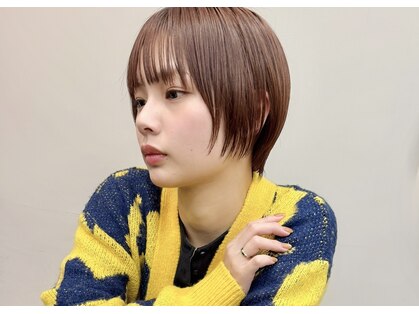 ヨーク(yoke)の写真