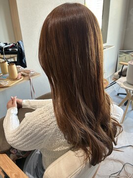 本と南風 guest design