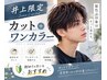 【井上限定】好印象◎カット＋ワンカラー（白髪染めも可）