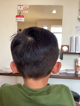 ビー(bee) カット