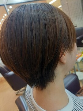 シャンプーボーイ ショート