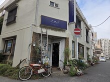 ccc カリフォルニアヘアー(ccc-california hair)の雰囲気（裏柏/ウラカシのメイン十字路☆沢山の植物と青い看板が目印です）