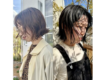 アルティスコ(artisco)の写真
