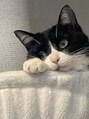 ジューシィ(Juicy) 保護猫ちゃん。こなつです。