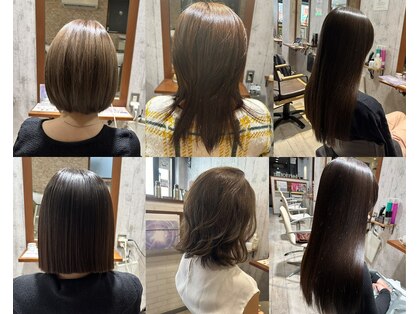 ファボリ(favori)の写真