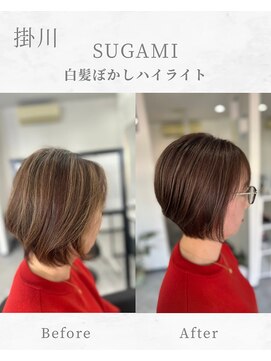 スガミ(SUGAMI) 白髪ぼかし/脱白髪染め