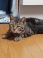 カットアンドシェーブ 髪心地&nbsp;愛猫のミーシャです。寒い日は一緒に布団の中でねんねします。