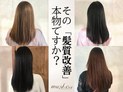 ムードコア(mu;d-Coa)の写真