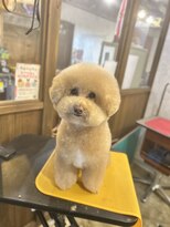 ガーフィー(garfy)&nbsp;ふっくらまん丸ビションスタイル