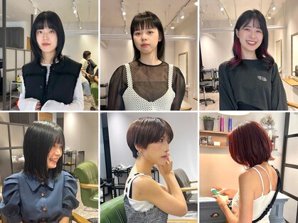 ラサ(rasa)の写真