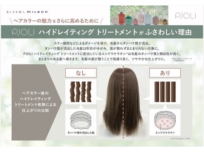 ソフト(SOFT)の写真