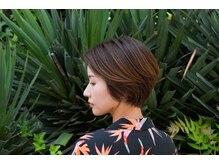 バイアス(biace)