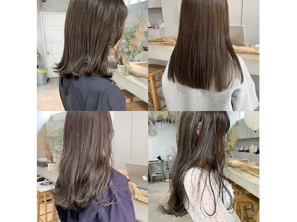 ミント(mint)の写真
