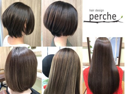 ペルシュ(perche)の写真