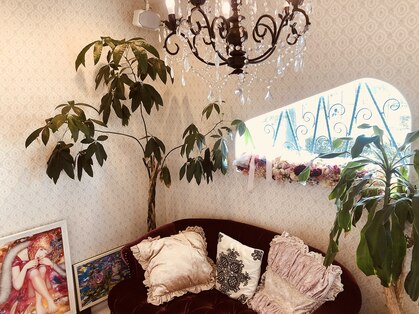 アロイジア Aloysiaの写真