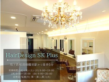 ＨａｉｒＤｅｓｉｇｎ　ＳＫ　Ｐｌｕｓ