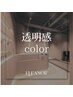 【透明感color coupon】