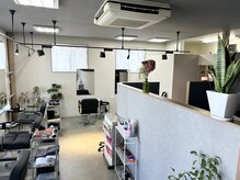 コンドウグラウンドオオイタヘアー(Kondo Ground Oita hair)の雰囲気（リフレッシュの為に、店内には沢山の観葉植物を置いています。）